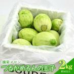 つるかめろんの玉子 摘果メロン 2kg