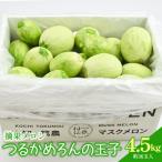 つるかめろんの玉子 摘果メロン 4.5kg