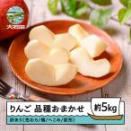 訳ありりんご 品種おまかせ 約5kg