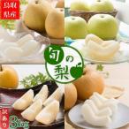 ふるさと納税 八頭町 【訳あり】鳥取県産旬の梨 3kg