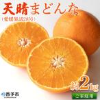 天晴まどんな 愛媛果試28号 ご 約2kg