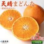 天晴まどんな 愛媛果試28号 ご 約5kg