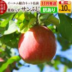 ふるさと納税 弘前市 【25年11月発送】りんご【訳あり】葉取らずサンふじ 約10kg 蜜入|24_ems-031001a