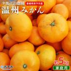 西宇和産 でん助みかん 温州みかん 5kg