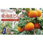 先行受付 訳あり 愛南 まどんな 5kg