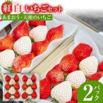 ふるさと納税 古賀市 紅白いちごセット(あまおうと天使のいちご)
