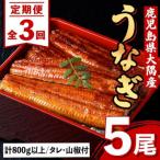 うなぎ蒲焼 大 有頭 5尾