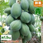 酵素 青パパイヤ 1.5キロ