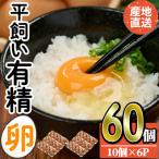 fu.... налог .. город производство прямой * flat .. иметь . яйцо ( итого 60 шт )