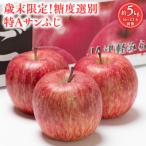 ふるさと納税 平川市 歳末限定!糖度選別 特Aサンふじ約5kg 糖度13度以上選別!津軽平川市産