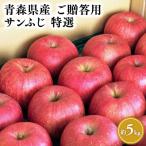 りんご 配送月 訳あり 甚八りんごサンふじ5kg