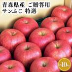 りんご 糖度選別サンふじ 約10kg