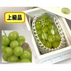 ふるさと納税 上山市 大粒シャインマスカット(上級品) 1房 800g以上 0009-2505