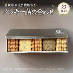 産自然栽培米粉クッキー缶 22枚入り