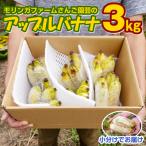 モリンガファームさんご園芸のアップルバナナ3kg