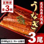 うなぎ蒲焼 大 有頭 3尾