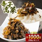 辛子高菜 250g×4パック