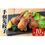 ふるさと納税 霧島市 霧島高原純粋黒豚使用!奇跡の手羽先餃子(5個×2P計10個)【MAGONIMO餃子】K-285-A