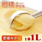 ふるさと納税 愛南町 みかん職人が作った柑橘 アイス 愛媛みかん 1000ml×1 シャーベット みかん職人武田屋