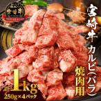 ふるさと納税 都農町 全部小分け真空パック!!「宮崎牛カルビ(バラ)焼肉用」計1kg_T041-0071
