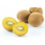 fu.... налог . через храм город . через храм город производство киви [... Gold ]