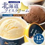 ふるさと納税 豊富町 とよとみ牛乳 北海道アイスクリーム バニラ チョコレート 各110ml×6個 計12個