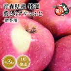 特選 甚八りんご 葉とらずサンふじ3kg
