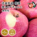 特選 甚八りんご 葉とらずサンふじ5kg