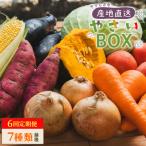 野菜 定期便 6回定期便 やさいBOX 7種類前後