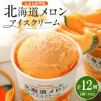 ふるさと納税 豊富町 とよとみ牛乳 北海道メロンアイスクリーム 110ml×12個