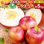 りんご 葉とらずサンふじ 約5kg