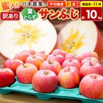 りんご 葉とらずサンふじ 訳あり 約10kg