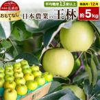 りんご 王林 約5kg