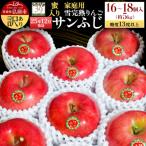 ふるさと納税 弘前市 りんご 訳あり 雪完熟 家庭用蜜入り 糖度13度以上 サンふじ 約5kg|24_yuk-170501