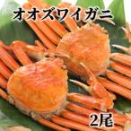 ボイルオオズワイガニ姿 2尾