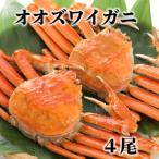 ボイルオオズワイガニ姿 4尾