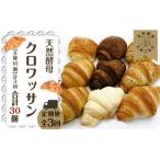天然酵母 クロワッサン 8種類 計10個