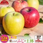 ふるさと納税 弘前市 りんご 13度糖度保証【訳あり】蜜入り 葉とらずふじ&王林 約5kg|24_rap-180501