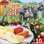 りんご 葉とらずふじ 10kg
