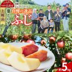 りんご 葉とらずふじ 約5kg