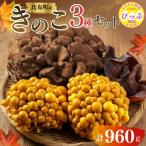 fu.... налог соотношение ткань блок .. .3 вида комплект итого 960g jumbo .... намеко иудино ухо [. глициния сельское хозяйство производство ]