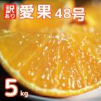 ふるさと納税 愛南町 訳あり 愛果48号 ( みかん ) 5kg 高級 柑橘 果物 サイズミックス 中山農園