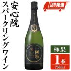 安心院スパークリングワイン 極果 熟成白 750ml