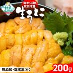ふるさと納税 陸前高田市 【緊急支援品】三陸産 生うに 200g 塩水パック 獲れたその日に出荷 ウニ 雲丹 天然 濃厚 旬