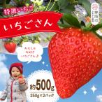 特選いちご いちごさん 250g×2パック