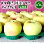 ふるさと納税 平川市 11〜12月 家庭用 キラ農法 ぐんま名月約5kg 【青森りんご・平川市広船産・11月・12月】