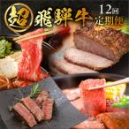 飛騨牛満喫 12ヵ月定期便 定期 毎月 ブランド牛