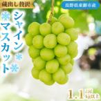 シャインマスカット2~3房 1.1kg以上