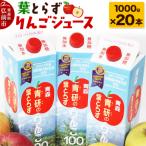 りんごジュース 1000g×20本