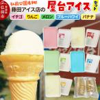ショッピングふるさと納税 アイス ふるさと納税 弘前市 アイス 藤田アイス店 よくばりアイスセット コーン付き|24_tns-020101